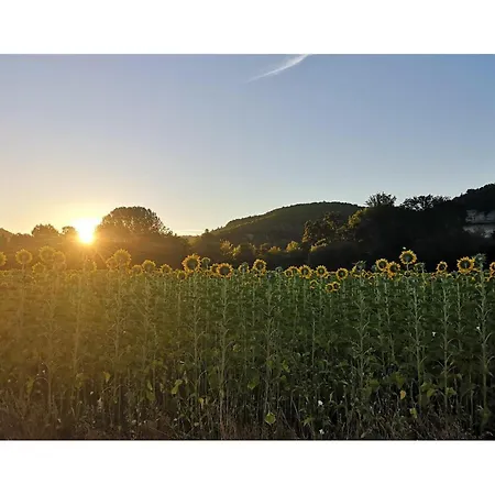 2 Bedroom Amazing In Pays De Belvès