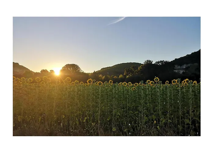 2 Bedroom Amazing In Pays De Belvès